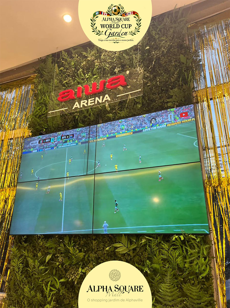World_Cup_slide3